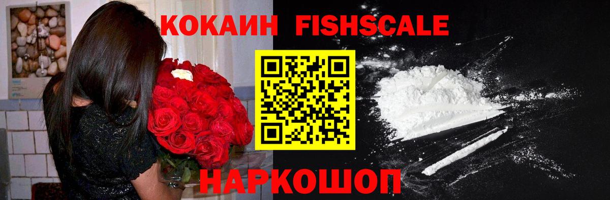 Кокаин FishScale  Ефремов  купить   Cocaine Эквадор 