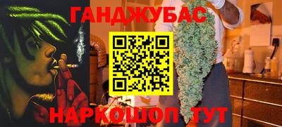 сатива Гай