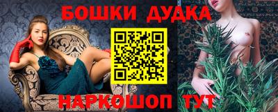 сатива Гай