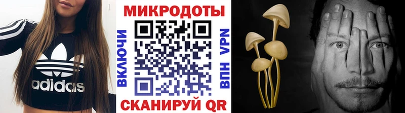 blacksprut маркетплейс  Ефремов  Псилоцибиновые грибы ЛСД 