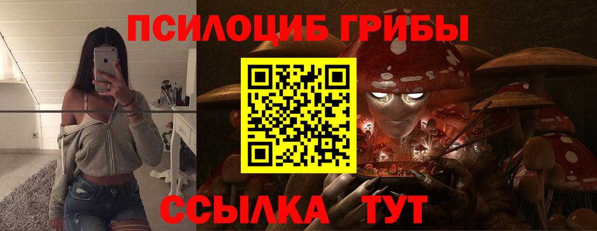 Галлюциногенные грибы прущие грибы Ефремов