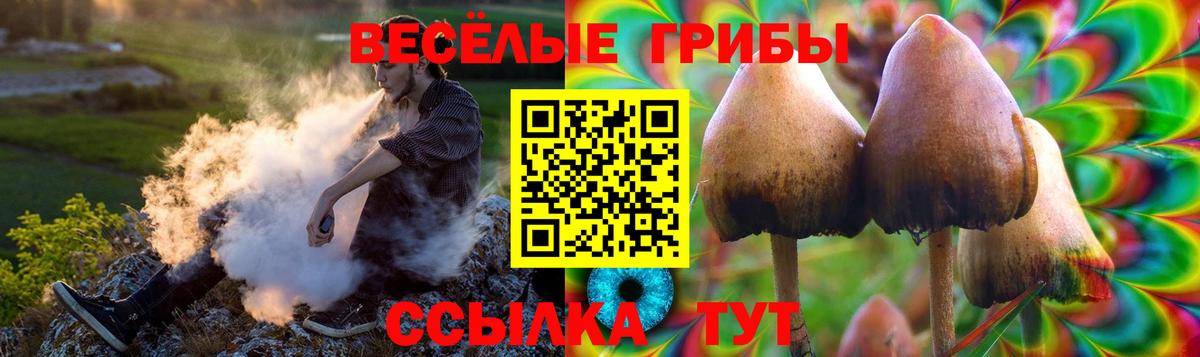 магазин продажи наркотиков  Галлюциногенные грибы мицелий  Вход с VPN  Ефремов  Псилоцибиновые грибы Psilocybe 